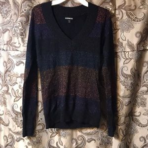 Express Sparkly Sweater